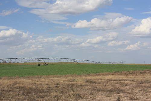 Property photo 33 - LAND AUCTION, 3255+/- Acres offered in 13 Tracts